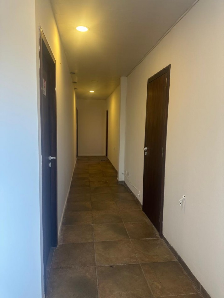 Local Comercial en Alquiler