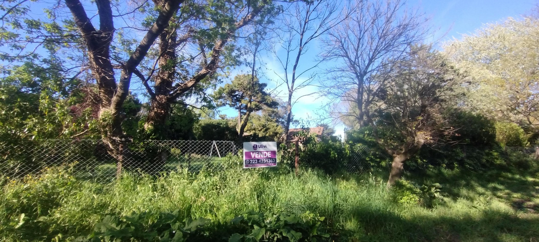 LOTE EN BARRIO ALFAR