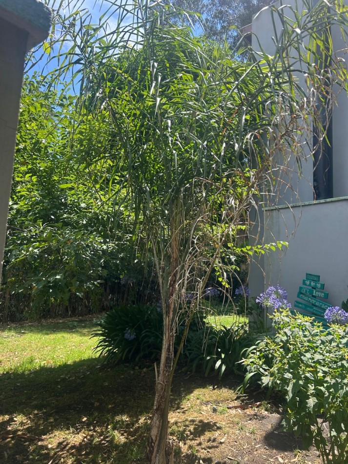 ALQUILER CASA DE 4 AMBIENTES 9 MESES